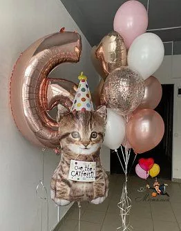 Набор Котик в колпаке