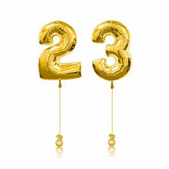 Шар-цифра « 23»